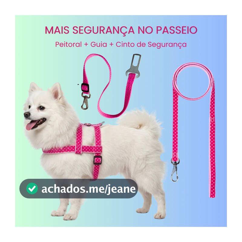 Kit Peitoral + Guia + Cinto Segurança Para Cachorro Carro
