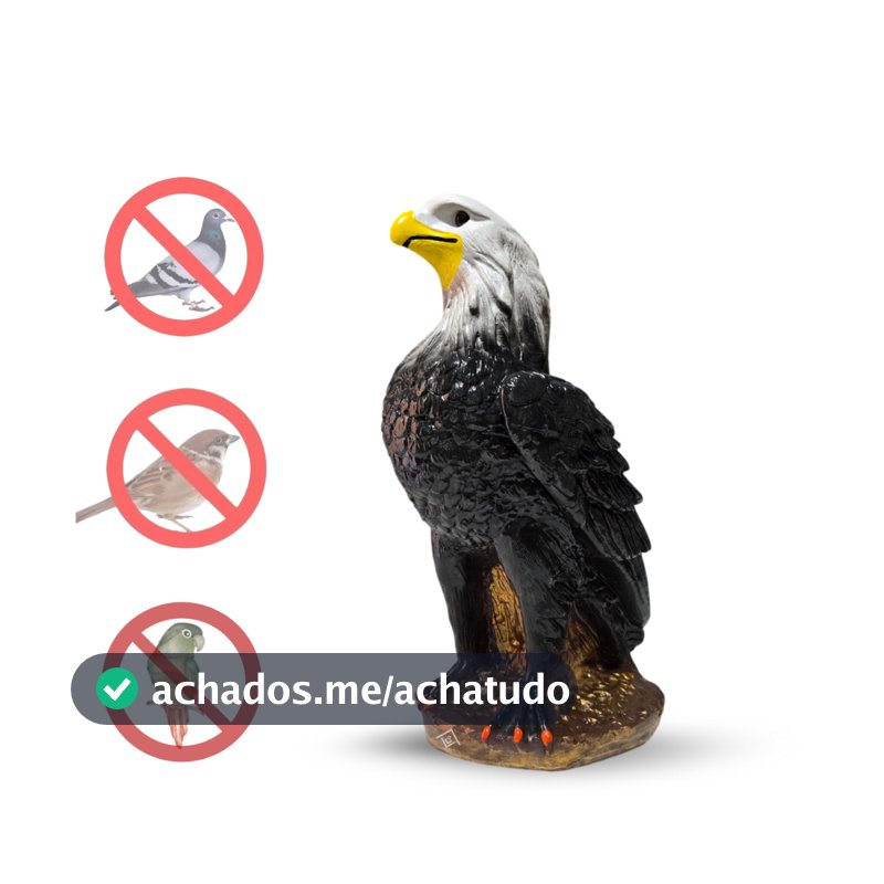 Gaviao Aguia Gesso Espanta Pombo E Passarinhos Decoracao Casa Estatua Enfeite Decorativo