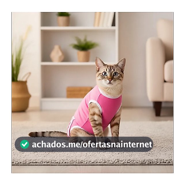 Roupa Pos Cirurgica Com Velcro Gato Castração cat