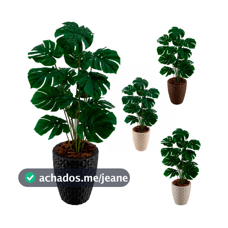 Costela De Adão Artifical Vaso Polietileno Completo Cores Acompanha Casca Pinus