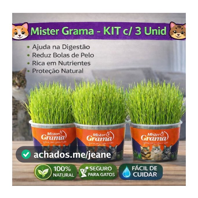 Graminha para Gatos Mister Grama Kit c/ 3 | Auxilia Digestão e Reduz Bolas de Pelo | 100% Natural