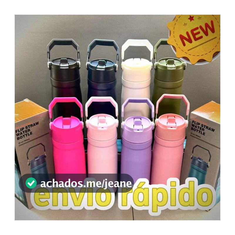 Garrafa térmica 550ML/650ML de aço inoxidável de alta qualidade  com alça canudo
