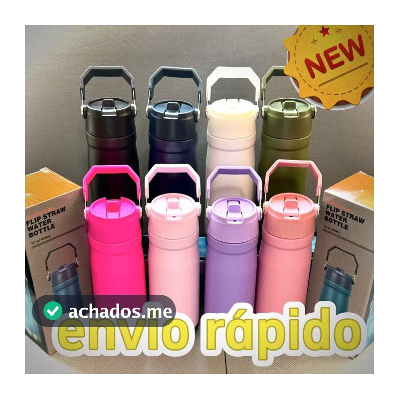 Garrafa térmica 550ML/650ML de aço inoxidável de alta qualidade  com alça canudo
