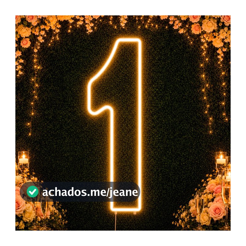 Luminária Neon Número 0 A 9 LED 50cm Luz Decorativa Quarto Festa Aniversário