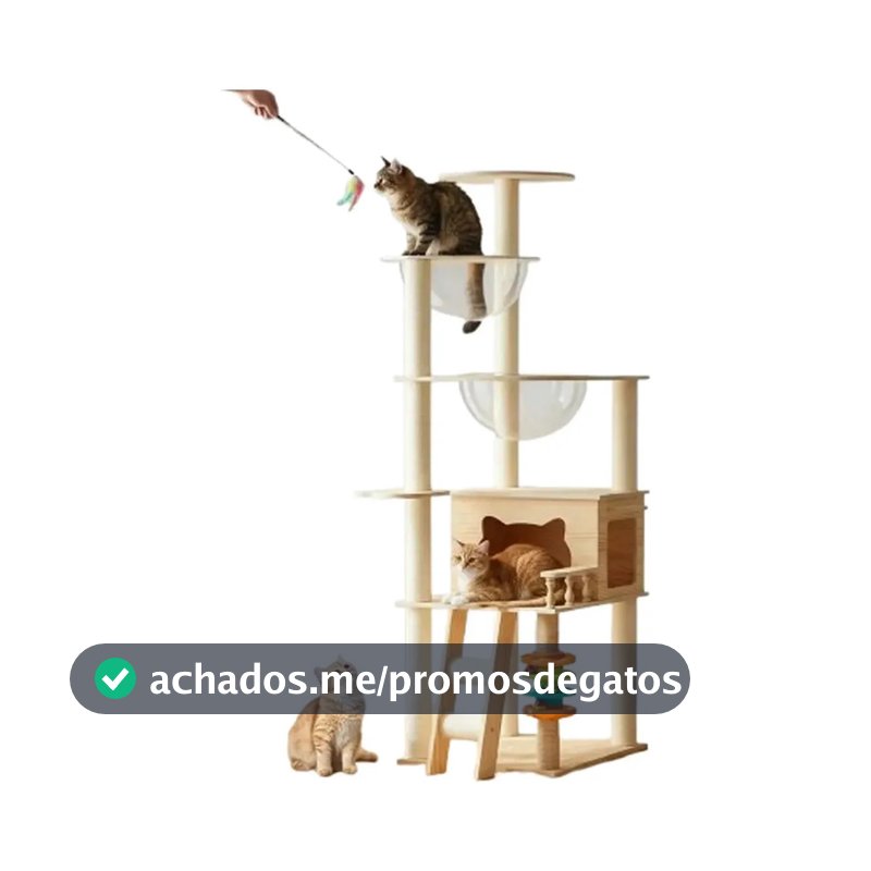 Árvore Para Gatos De Madeira Com Cápsula Transparente