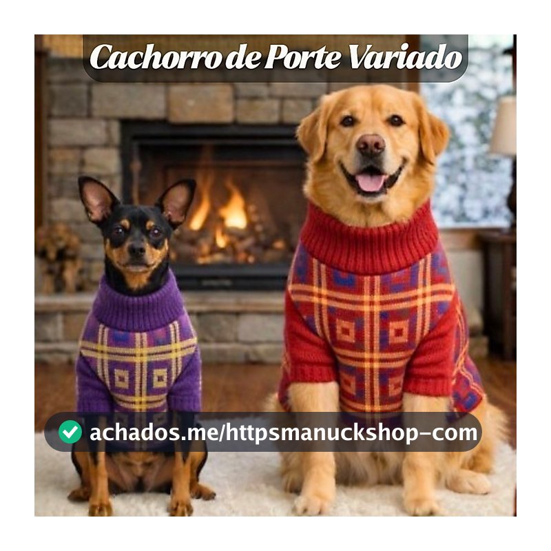 Roupa Tricot Para Cachorro Inverno Quente Confortável Para Dias Frios Tecido Macio Cores Sortidas
