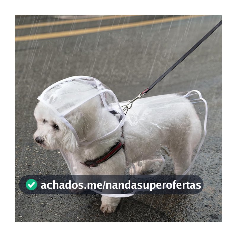 Capa De Chuva Para Cães Transparente Impermeável / Jaqueta Com Capuz Para Animal De Estimação