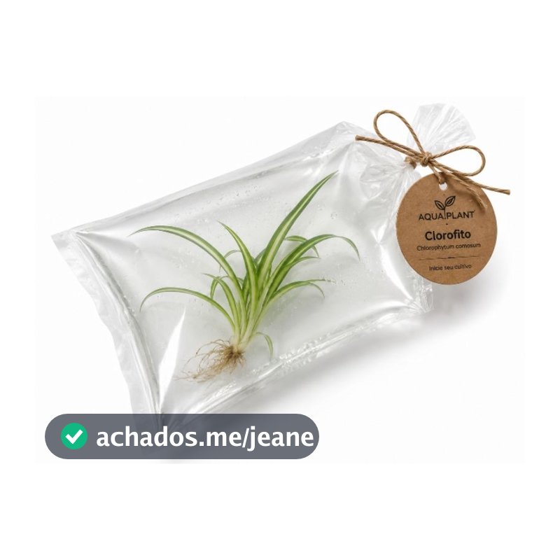 Ornamentação para Aquários e lagos - Estilo Clorofito