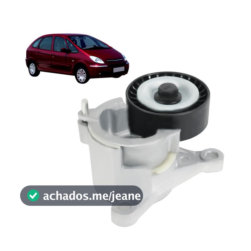 Tensor Correia Alternador Poli-v 307 Citroen C4/C5/C8 Xsara Picasso 2.0 16v NOVO