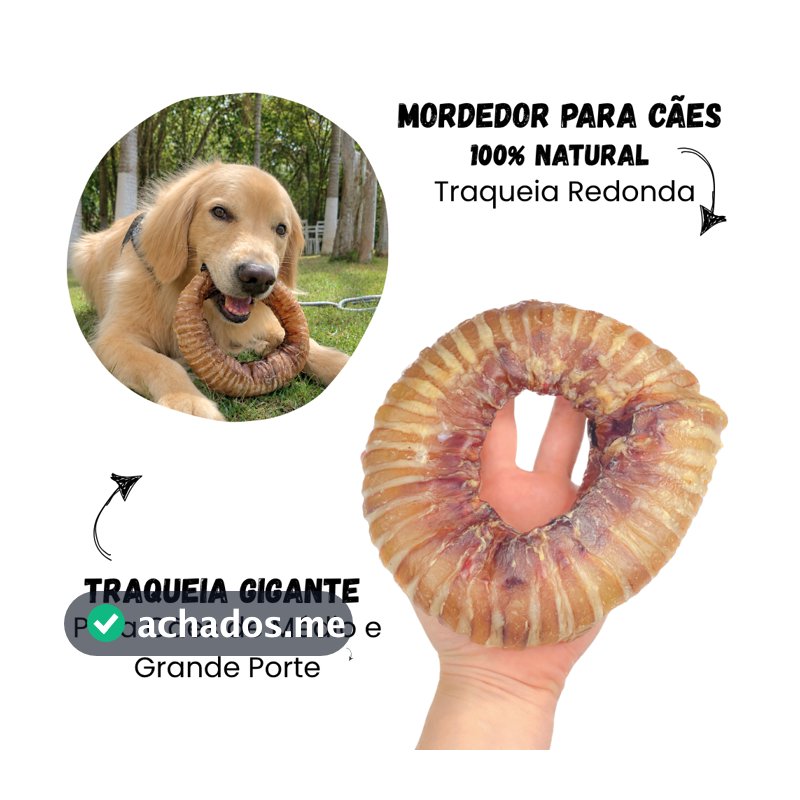 Traqueia Redonda Mordedor Natural Resistente para Cães 1 unid - Luv