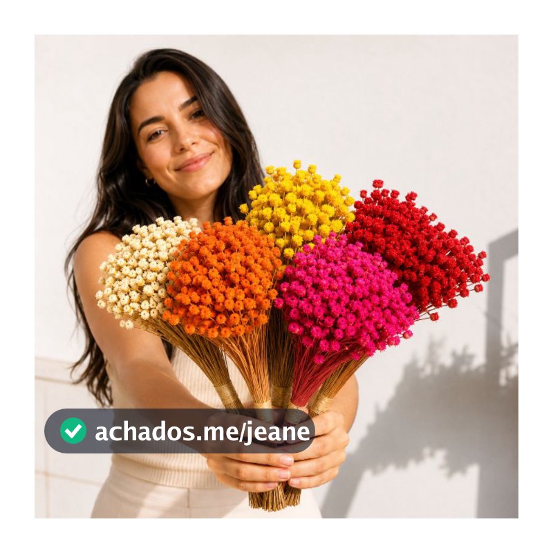200 Galhos Flor Sempre Viva Flor Seca Mosquitinho Florzinha para Convites e Artesanato