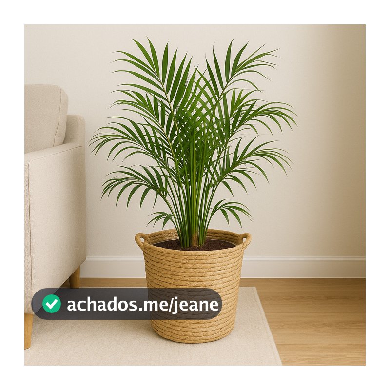 Cesto Palha Natural Cachepot Grande com Alça e Forro Decoração Boho