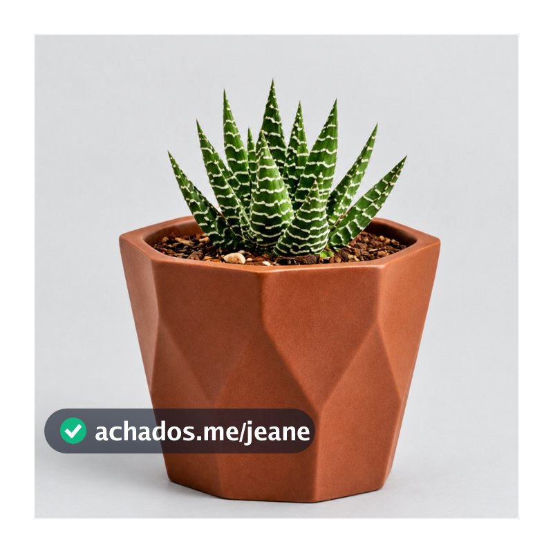 Mini Vasinho cachepot Decorativos para suculentas, Cactus e Plantas Artificiais