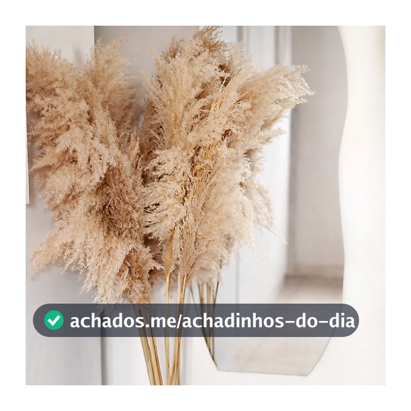 Kit 10 Capim dos Pampas Decoração Plumas Natural Com Hastes 150cm Boho