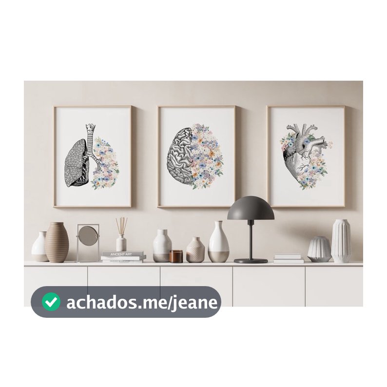 Quadro Decorativo Anatomia Humana, decoração casa Quadro Decorativo coração cerebro pulmão