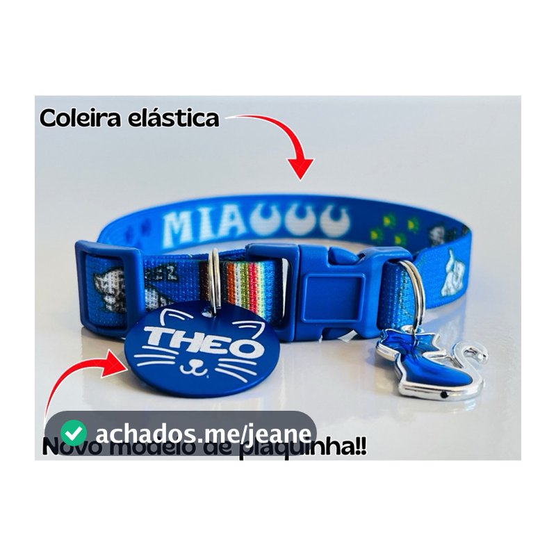 Coleira para gato elástica anti enforcamento com placa de identificação