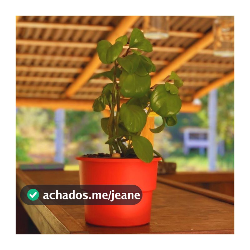 Kit 4 Vaso Plantas Autoirrigável Vaso Antidengue Para Flores Hortas Vaso Cachepô - Escolha as Cores