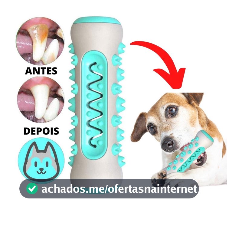 Brinquedo Pet 3x1 Mordedor Osso Massageador Gengiva Removedor Tártaros Escova de Dente Para Pets