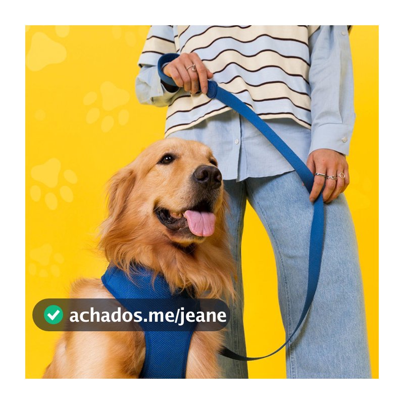 Guia Pet Para Cachorro GoPets Clear