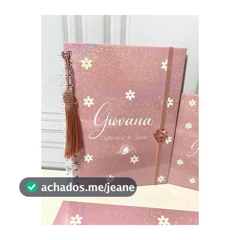 Caderneta de Vacina l Mini Porta Documentos l Livro do bebê l Pasta l Margaridas l Rose l Lilás