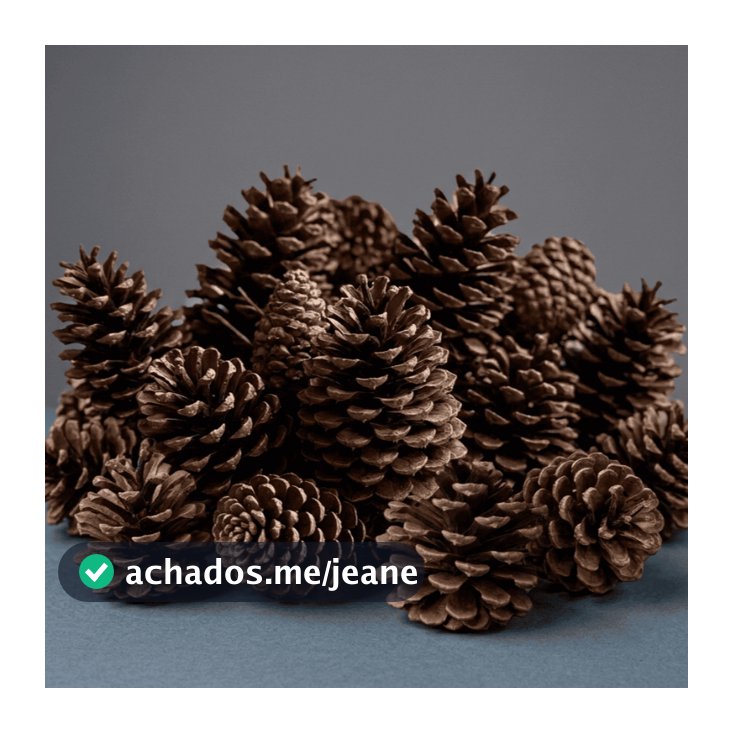 Kit Pinha Natural para Enfeite Decoração Árvore de Natal e Artesanato Guirlanda Pendente Natalino