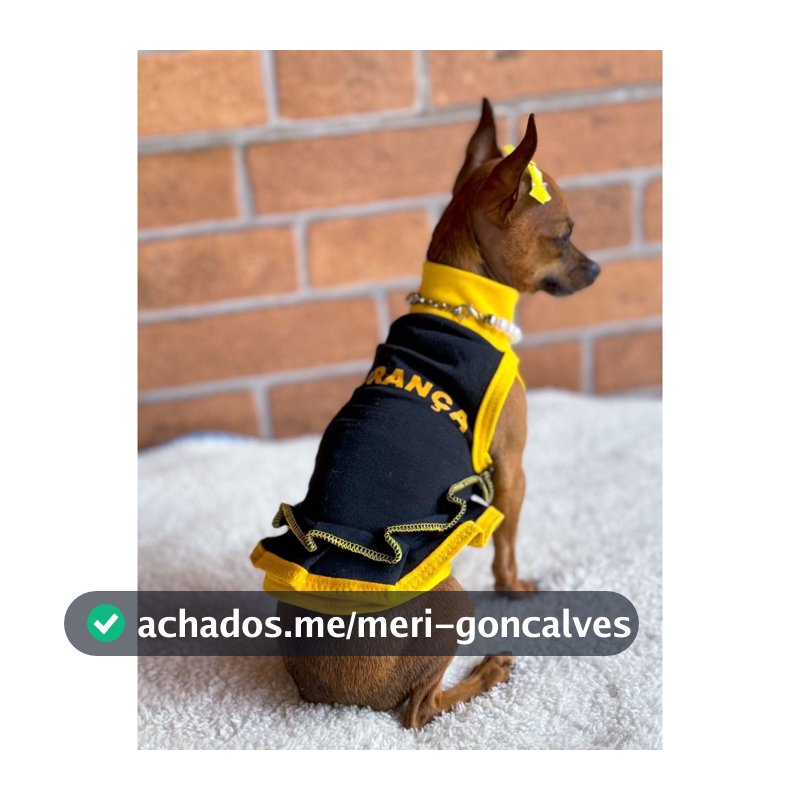 Roupa de Segurança para Cachorro Macho e Fêmea Gaby Pet