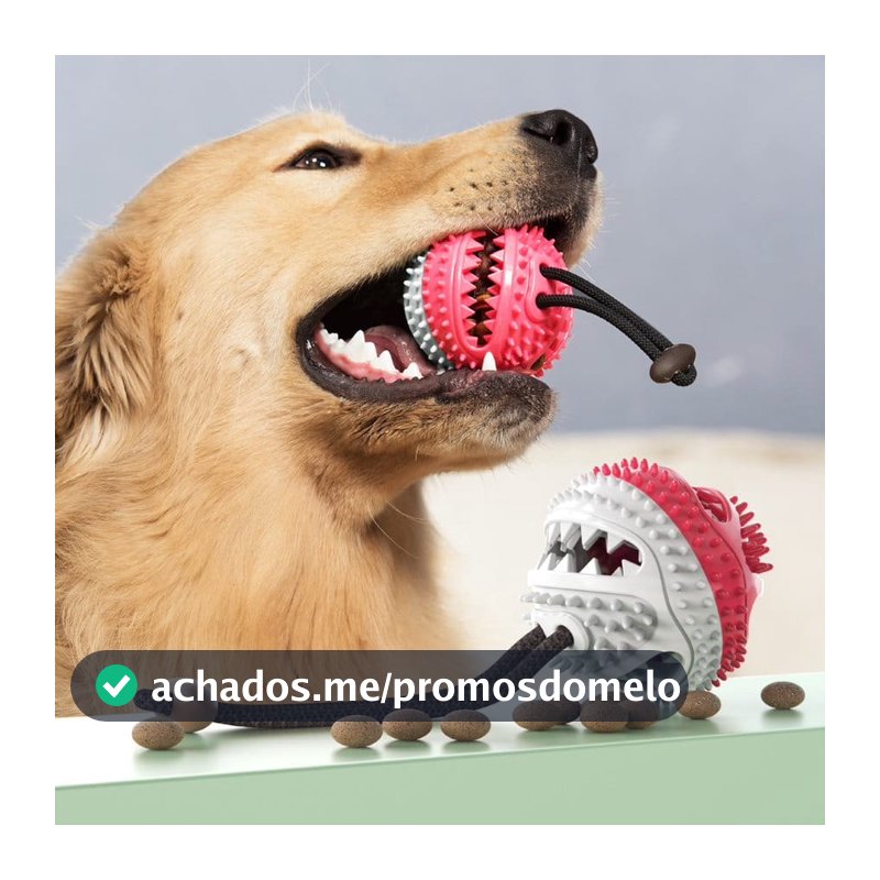 Brinquedo Bola para Cachorro Porta Petiscos Cães Borracha Resistente com Corda para Morder e Puxar