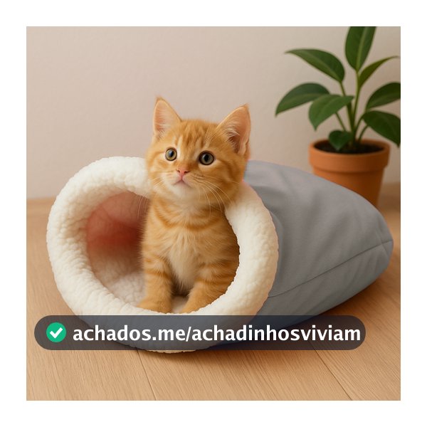 Caminha para Gatos Saco de Dormir Gatos Toca Caminha Sherpa Saquinho de Dormir Pet 50X45