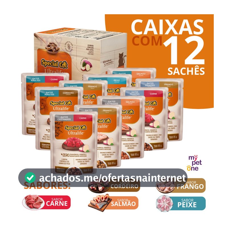 Caixa 12 Sachê Premium Special Cat