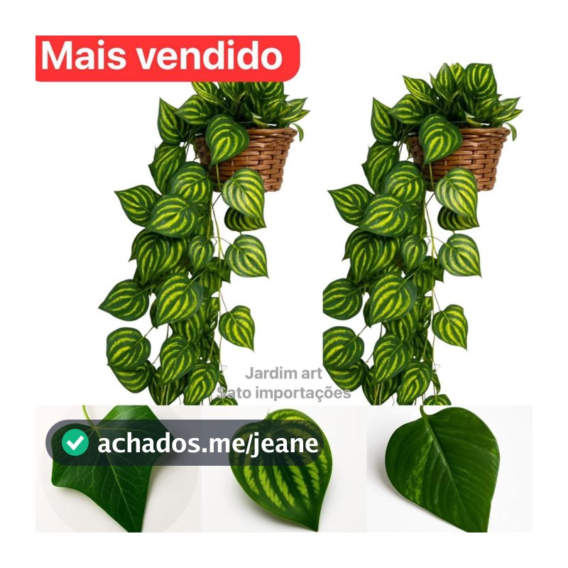 Kit : 3 Trepadeira de Folha De HERA +  1 Vaso Trançado - Arranjo completo