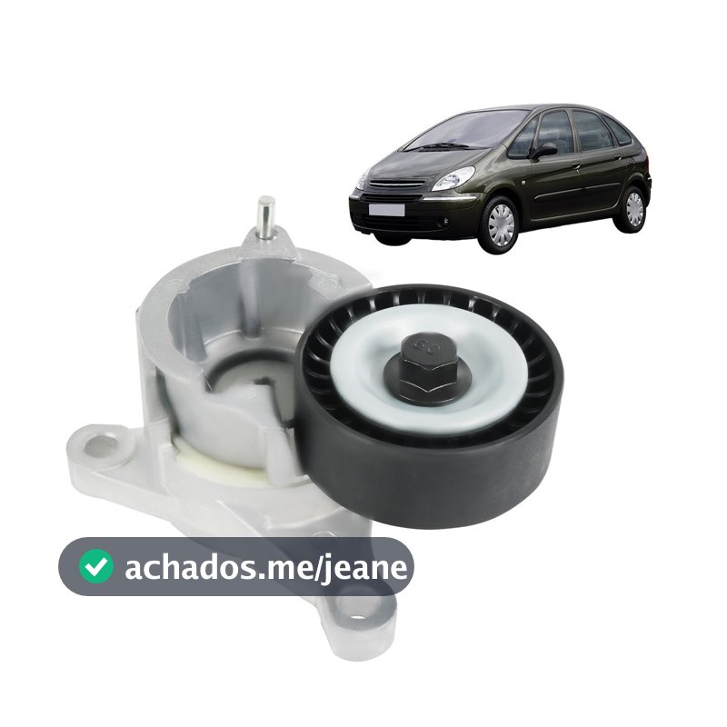 Tensor Correia Alternador Poli-v Peugeot 307 807 406 Xsara Picasso 2.0 16v