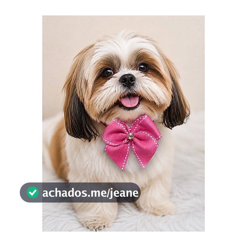 kit Laço de Pescoço pet para Cachorro e Gato Pet economico Ajustável com Strass Diversas Estampas