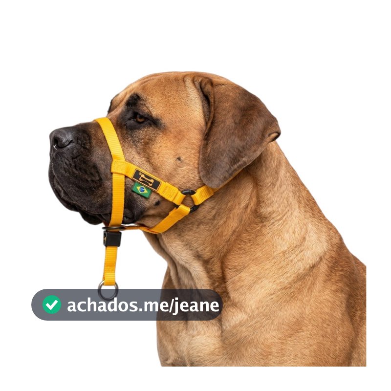 Halti Cabresto Coleira Amorosso Cachorro passeio Adestramento