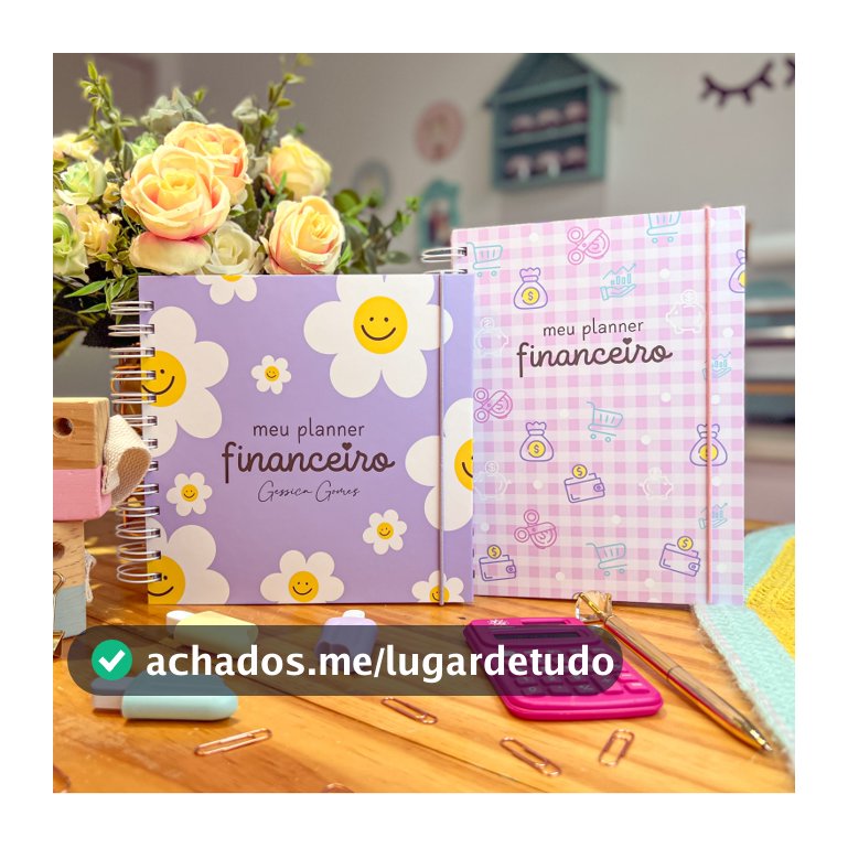 Controle financeiro, minhas contas organizadas, meu planner financeiro, controle financeiro completo, planner financeiro