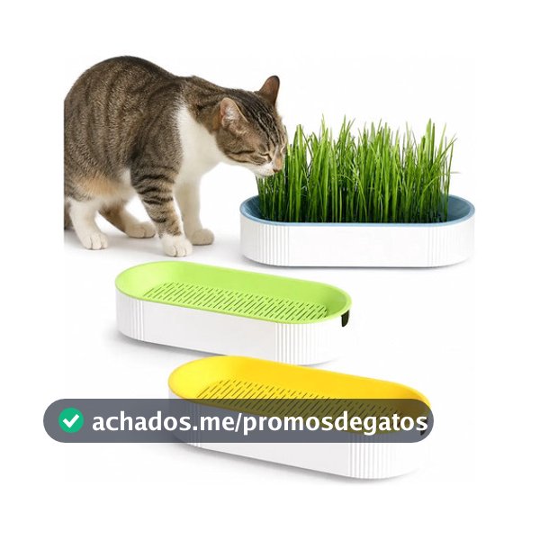 KIT POTE PARA PLANTAR GRAMA COMESTÍVEL PARA GATO COM KIT COM SEMENTES HIDROPÔNICO AUXILIA COM BOLA DE PELO