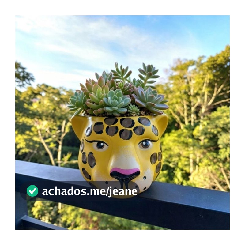 Vaso Onça para suculentas ( em cerâmica) não acompanha flores!