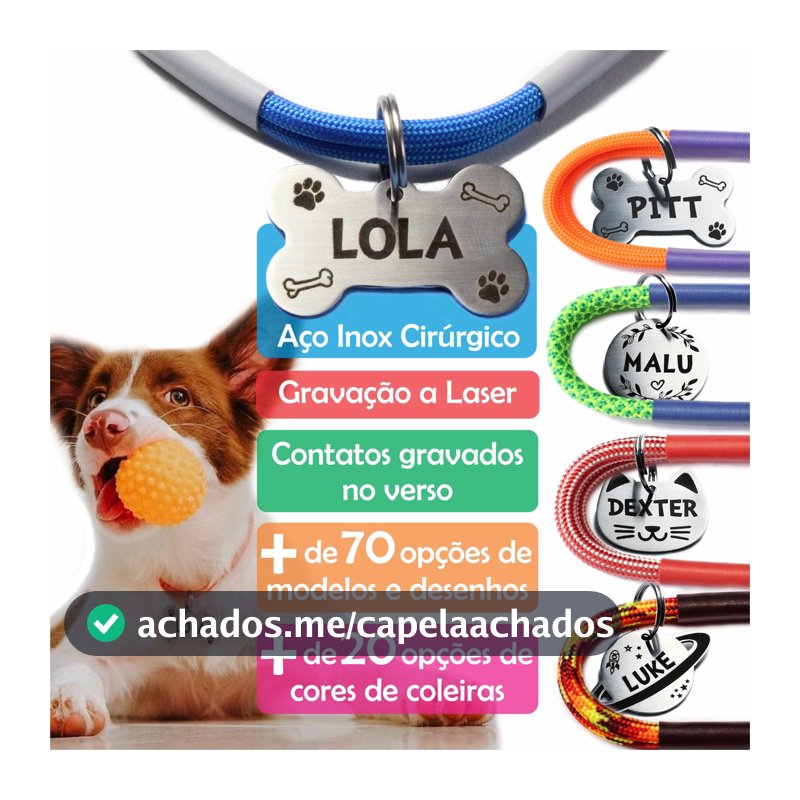 Plaquinha De Identificação Gravada C/ Coleira Personalizada