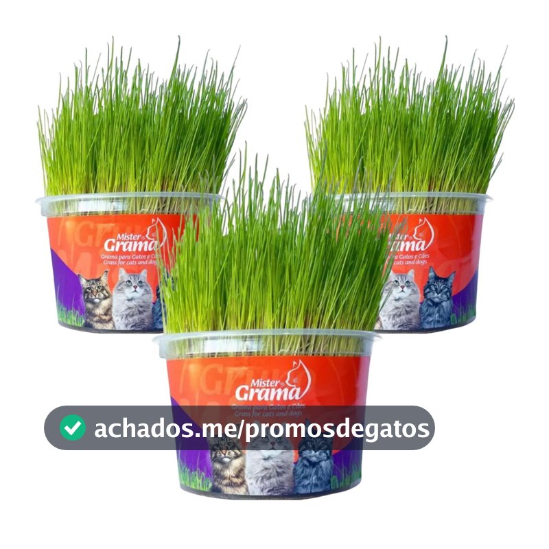 Kit 3un Graminha para Gatos - Mister Grama
