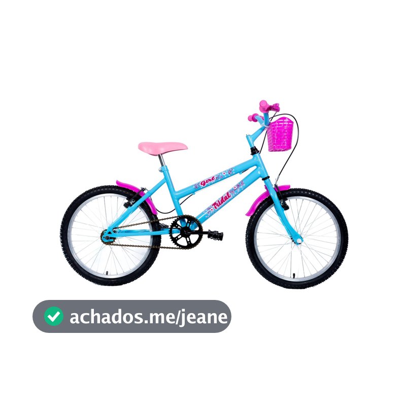 Bicicleta Infantil Aro 20 Girl MTB com Cestinha e Paralamas Tridal Bike