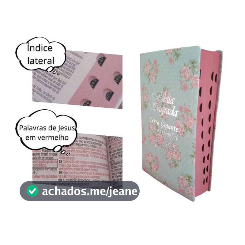 Biblia Sagrada  Tamanho Grande Com Harpa  Feminina Masculina Palavras De Jesus Em Vermelho