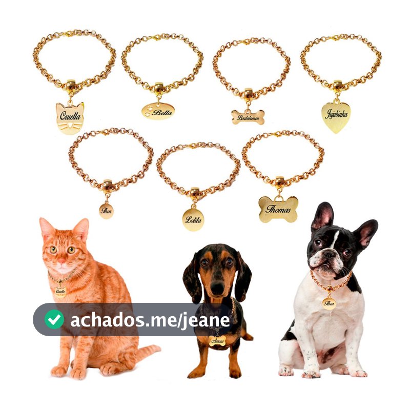 Coleira Identificação Corrente Placa Nome Telefone Gravado Laser Plaquinha Dourado Cachorro Gato Pet Personalizada