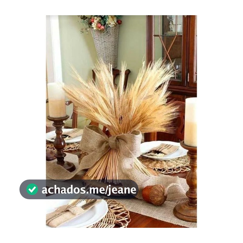 200 Hastes De Trigo Seco Decoração Aranjos