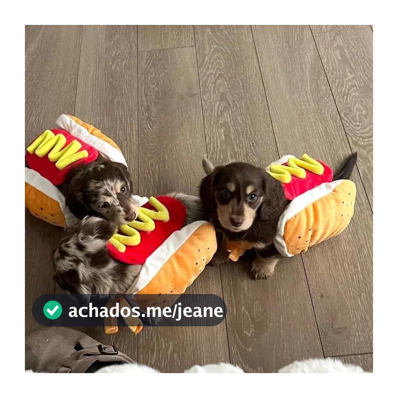 Engraçado Trajes De Cachorro De Halloween Em Forma-Quente Salsicha De Dachshund Roupas Ajustáveis Vestuário Para Animais