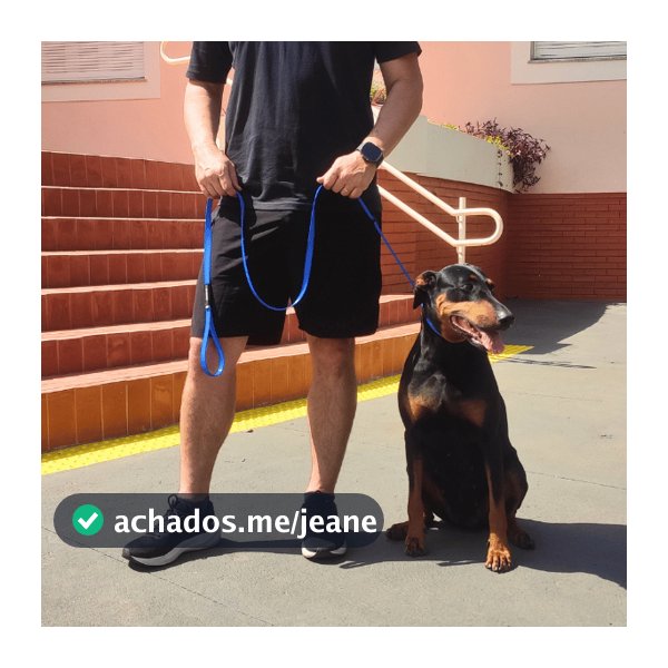 Guia Adestramento Cachorro Speed Profissional Unificada Confortável Durável Passeio Treino Zarablue