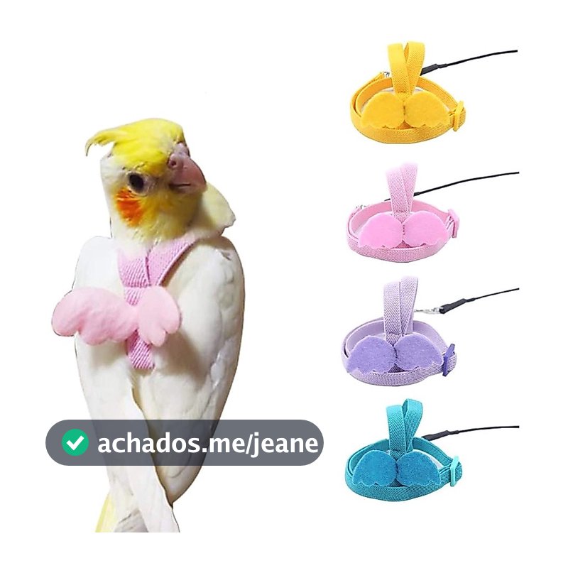 Coleira Para Pássaro Papagaio Arreios E Trela Voando Corda Cintas De Treinamento De Tração Budgerigar Pequeno Pássaros