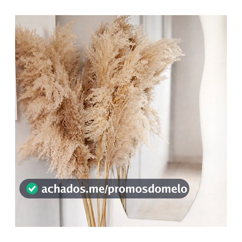 Kit 10 Capim dos Pampas Decoração Plumas Natural Com Hastes 150cm Boho