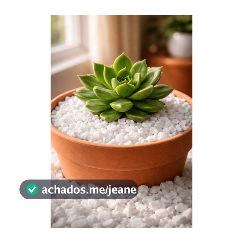 Pedrinhas Granilhas Brancas 4kg Decorativas Para Jardins Vasos E Aquários 1kg 1,5kg 2kg 4kg
