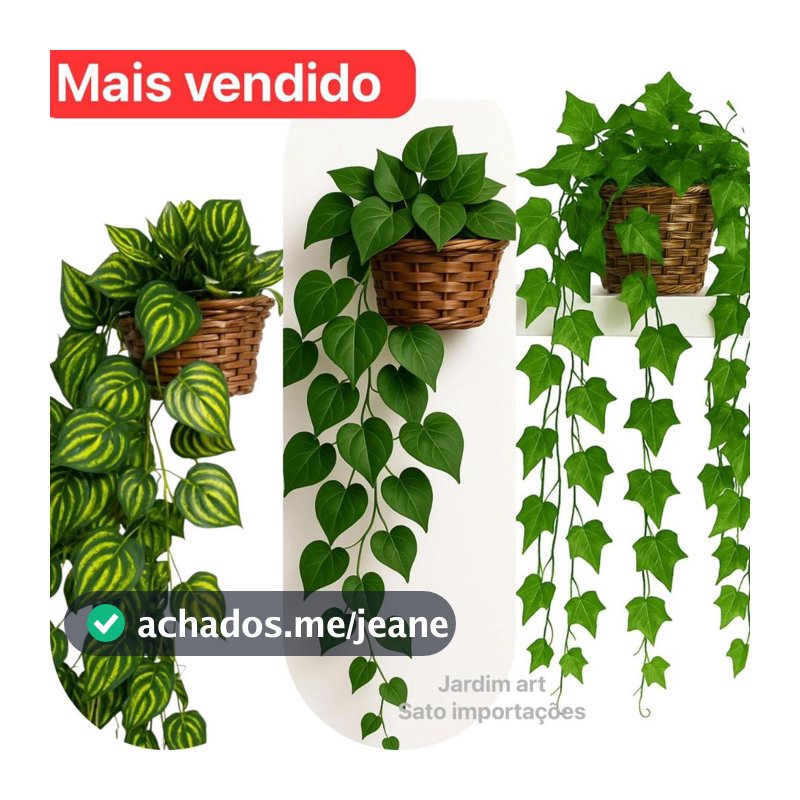 Arranjo c/ 3 Trepadeira Folha de HERA + Vaso Trançado Marrom