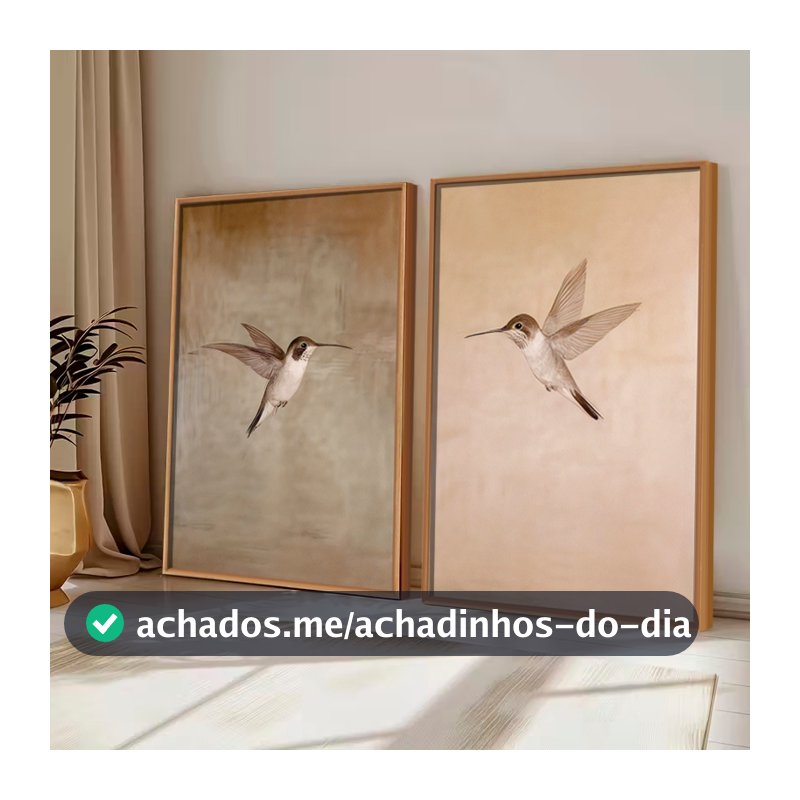 Kit2 QUADROS decorativo com MOLDURA CAIXA ALTA grande 41x61 cm Beija-Flor, Arte Minimalista Retrô para Decoração Rústica