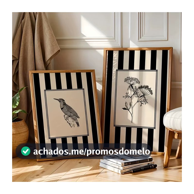 Quadro Decorativo Duas Peças Pássaros e Flores Desenho Minimalista Natureza